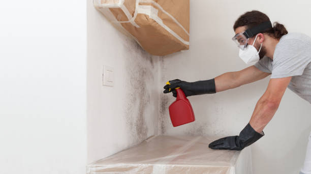 Professional Crawl Space Mold Remediation technician working in Kent City, MI